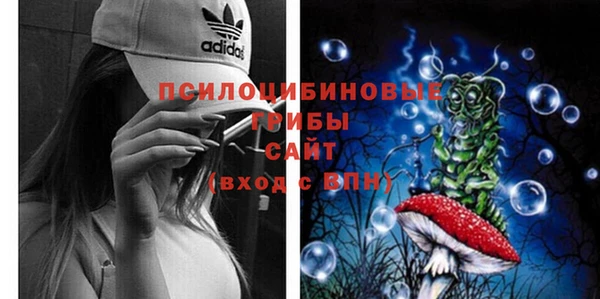 бутират Мегион